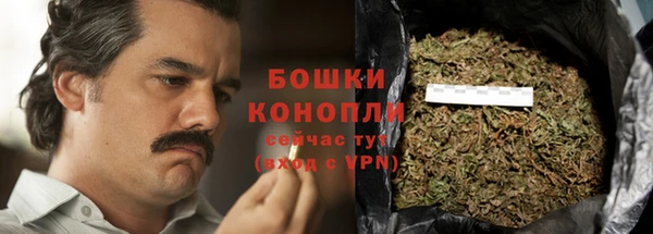 эйфоретик Няндома