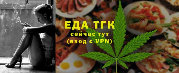 эйфоретик Няндома
