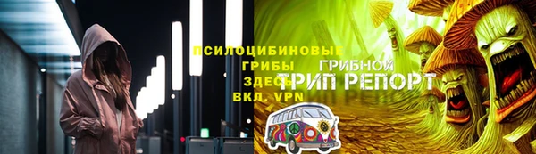эйфоретик Няндома