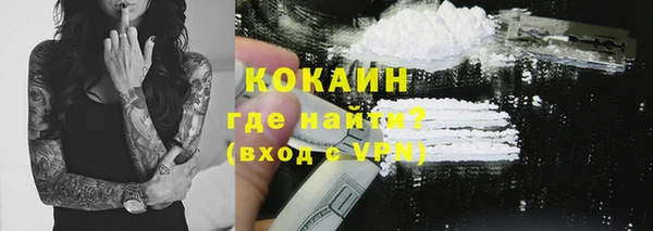 эйфоретик Няндома