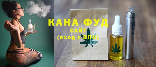 эйфоретик Няндома