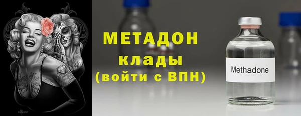 шишки Болотное