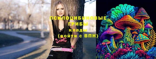 гидропоника Нязепетровск