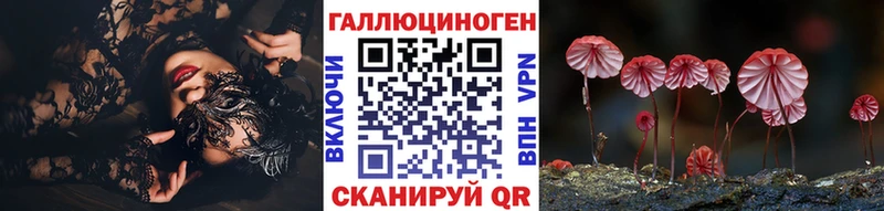 МЕГА как войти  Свирск  Галлюциногенные грибы Cubensis 